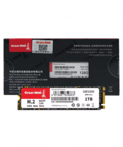 SSD M2.SATA Great Wall